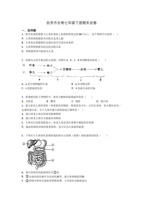 自贡市生物七年级下册期末试卷