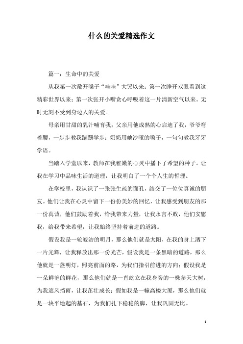 什么的关爱精选作文