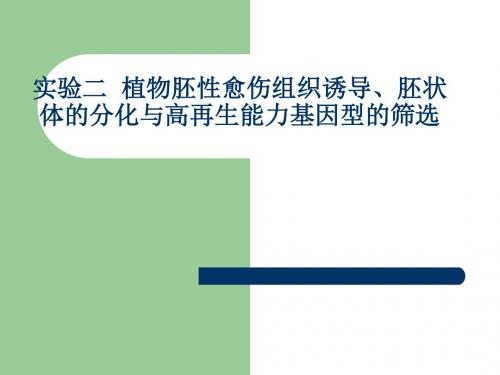 实验二植物胚性愈伤组织诱导、胚状体的分化与高再生能力基因型的筛选