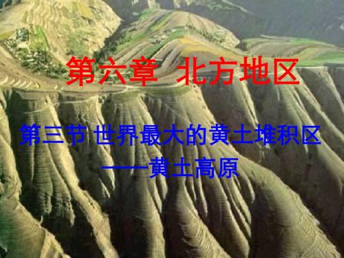 八年级地理下册：6.3世界最大的黄土堆积区-黄土高原 课件 (共19张PPT)