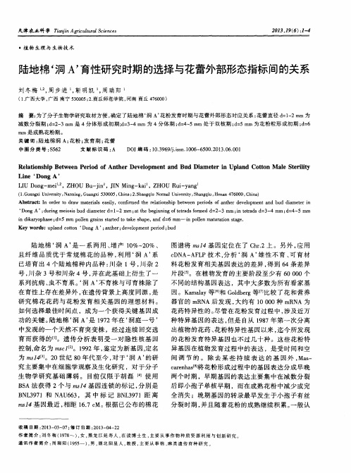 陆地棉‘洞A’育性研究时期的选择与花蕾外部形态指标间的关系