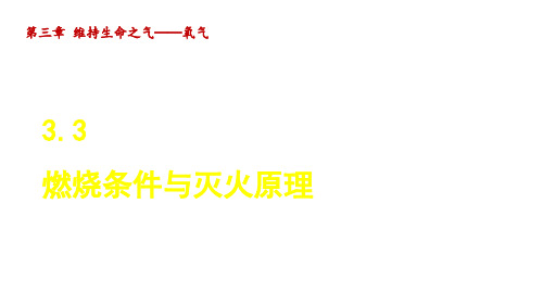 科学版九年级化学上册第三章3 燃烧条件与灭火原理