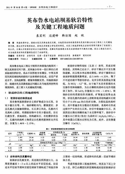 英布鲁水电站坝基软岩特性及关键工程地质问题