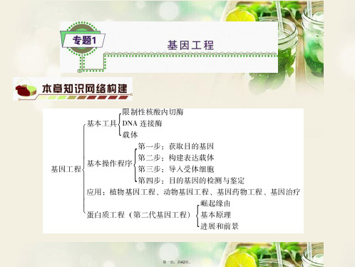 高考生物一轮复习(基础知识整理+重难点聚集)专题1 基因工程课件 新人教版选修3