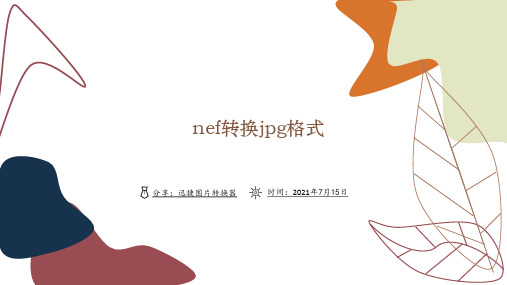 nef转换jpg格式的格式转换方法是什么？