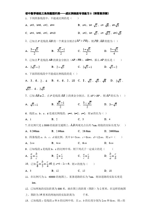 初中数学相似三角形题型归类——成比例线段专项练习5(附答案详解)