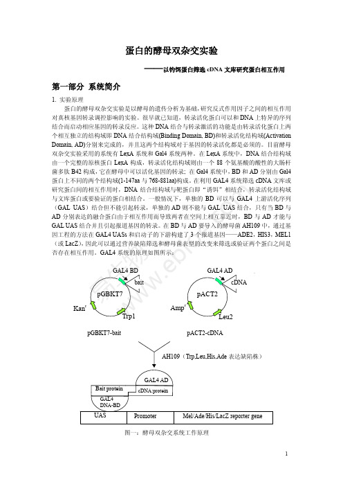 酵母双杂中文手册