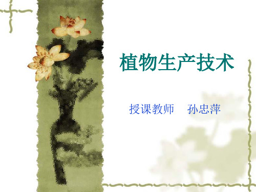 植物生产技术第四章.