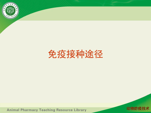 动物疫病预防-免疫预防-免疫接种途径.ppt