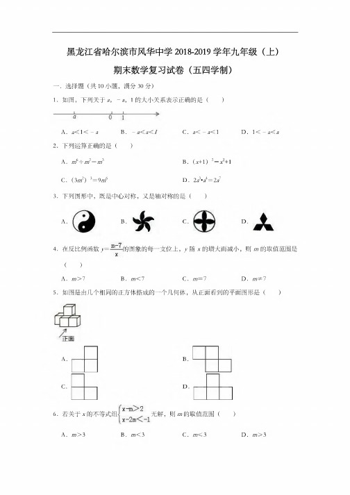 黑龙江省哈尔滨市风华中学2018-2019学年九年级（上）期末数学复习试卷（五..