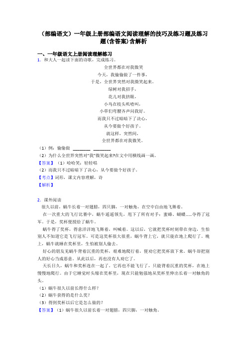 一年级(部编语文)一年级上册部编语文阅读理解的技巧及练习题及练习题(含答案)含解析