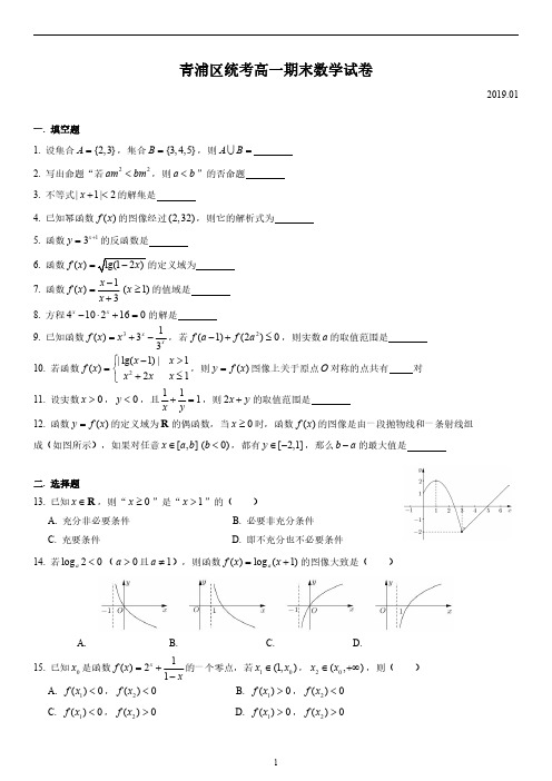 2019青浦区统考高一期末