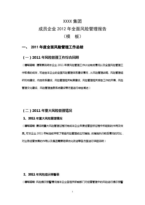 2012年全面风险管理报告(模本)