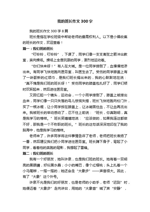 我的班长作文300字8篇