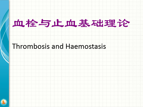 血栓与止血基础理论