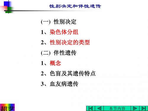 性别决定和伴性遗传 PPT课件9 人教版