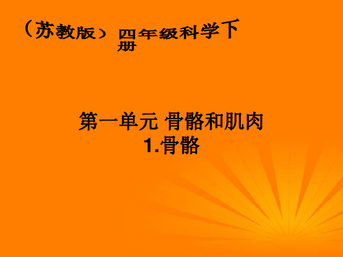 四年级科学下册_骨骼_2_苏教版PPT课件