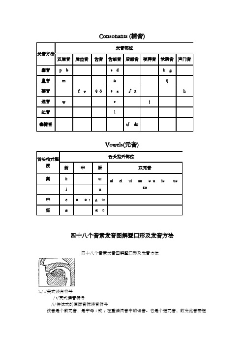 国际音标发音舌位图