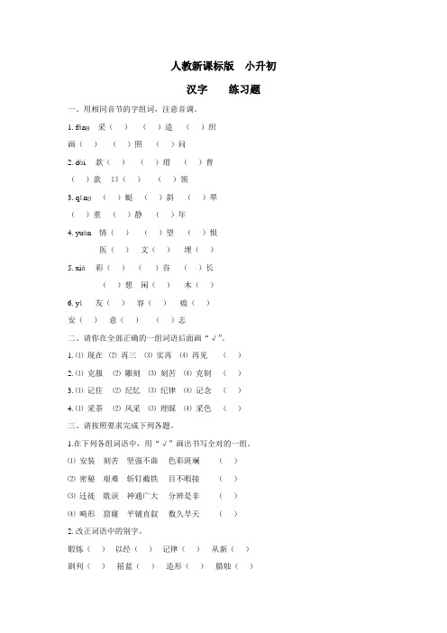 小升初语文知识点专项练习汉字2人教新课标版(附答案)
