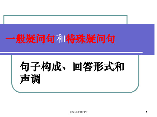 一般疑问句和特殊疑问句课件