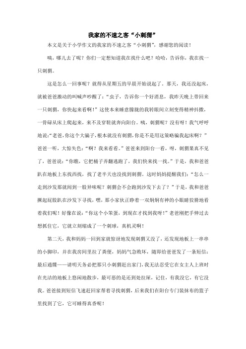 我家的不速之客“小刺猬”_小学作文