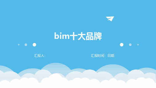 bim十大品牌