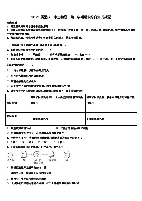 2025届重庆一中生物高一第一学期期末综合测试试题含解析