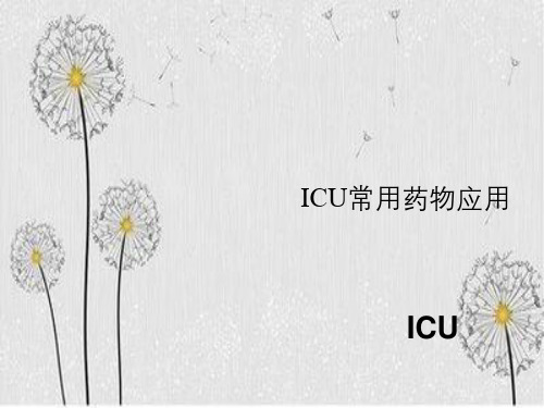 ICU常用药物应用ICU