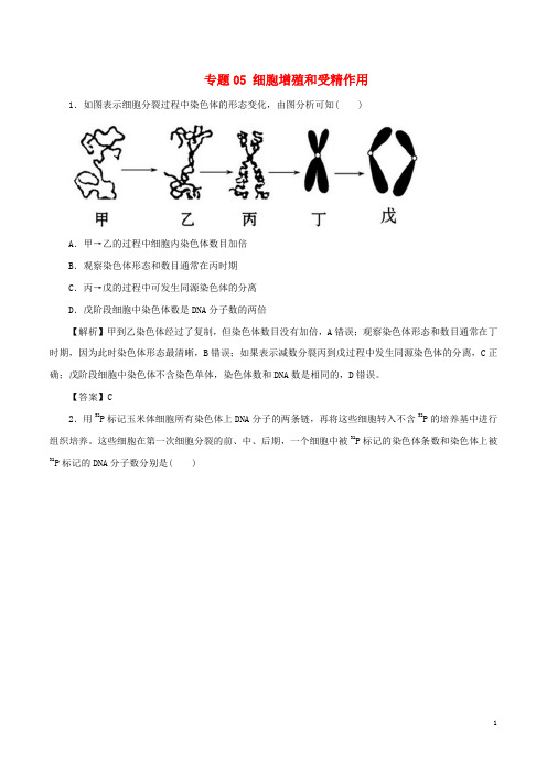 高考生物(深化复习+命题热点提分)专题05 细胞增殖和受精作用