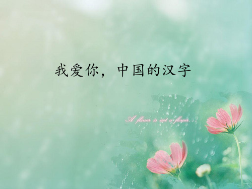 最新部编版(人教)五年级下册语文《我爱你,中国的汉字》优质教学课件