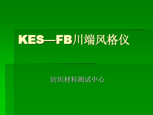 KES—FB川端风格仪