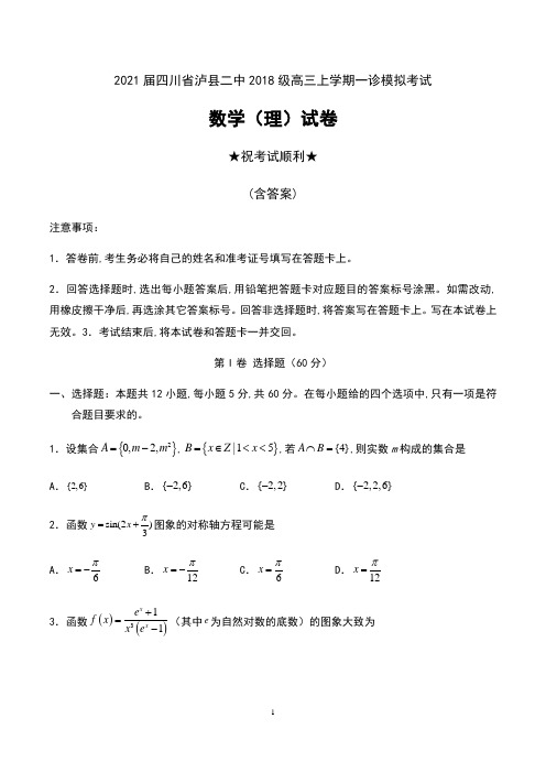 2021届四川省泸县二中2018级高三上学期一诊模拟考试数学(理)试卷及答案