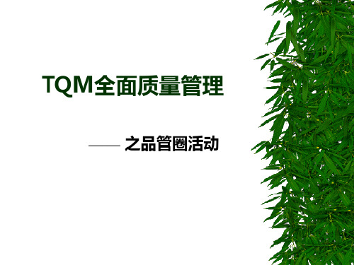 01.TQM全面质量管理-QCC培训教材