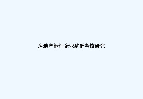 房地产标杆企业薪酬考核报告