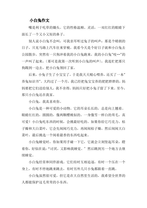 小白兔十分爱吃胡萝卜和白菜精选