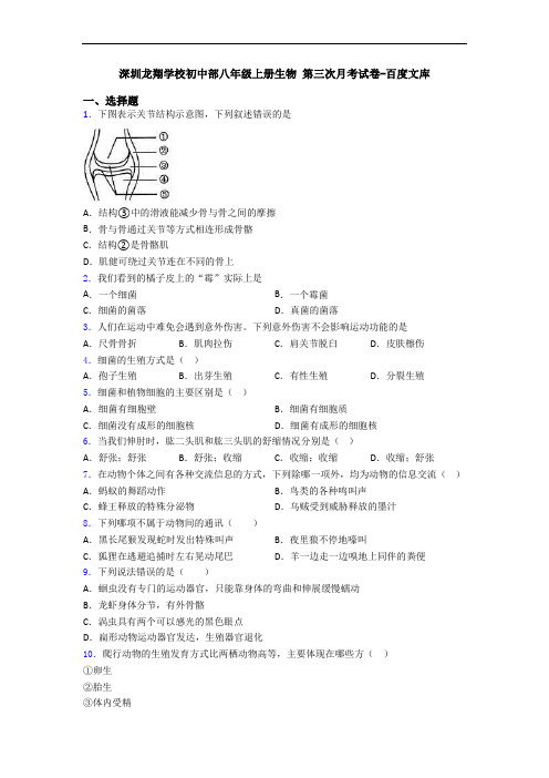 深圳龙翔学校初中部八年级上册生物 第三次月考试卷-百度文库