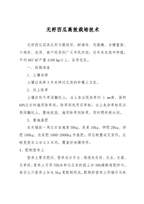 无籽西瓜高效栽培技术