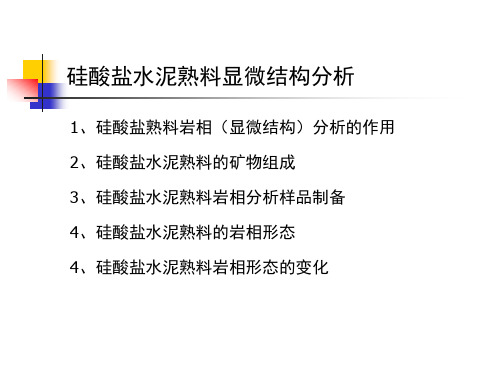 硅酸盐水泥熟料显微结构分析