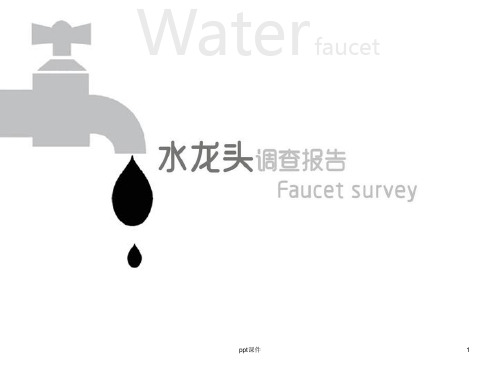 水龙头调查 ppt课件