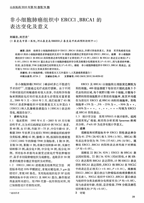 非小细胞肺癌组织中ERCC1、BRCA1的表达变化及意义