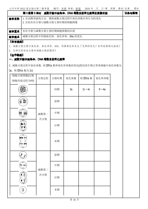 011-014第二章第3课时 减数分裂中染色体、DNA等数目的变化规律及图像识别