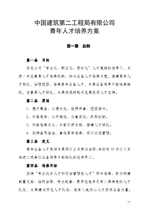 中建二局青年人才培养的解决方案.docx