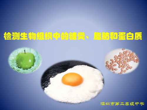 高中生物 必修一 第二章 实验 还原性糖蛋白质淀粉脂肪的检测