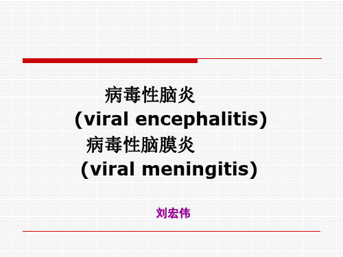 儿科病毒性脑炎ppt模板