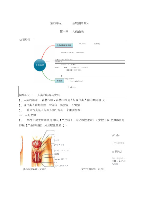 人教版七年级下册生物中考考点精华识记思维导图版