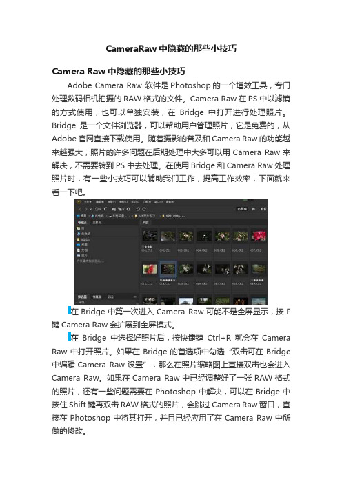 CameraRaw中隐藏的那些小技巧