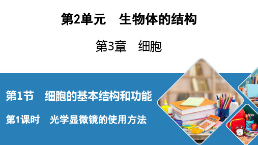 北师大生物七年级上册光学显微镜的使用方法