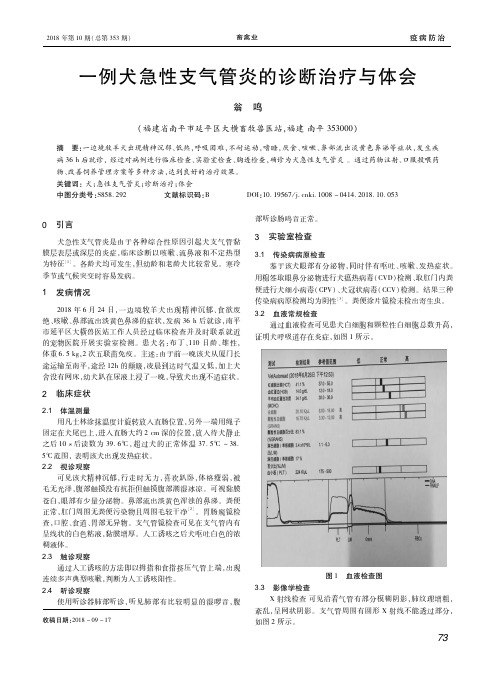 一例犬急性支气管炎的诊断治疗与体会