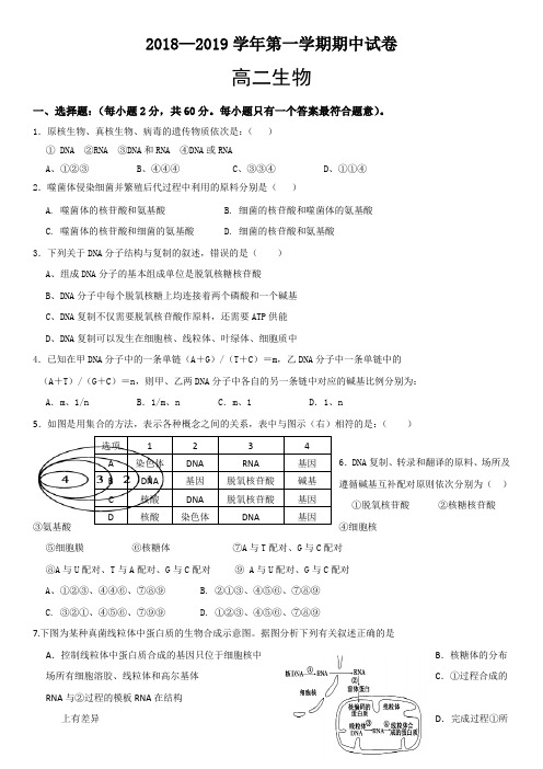 2018-2019学年第一学期高二生物期中试卷(有答案)