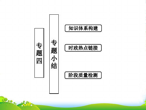 高中政治一轮复习 专题四 社会主义经济理论的初期探讨专题小结课件 新人教必修2